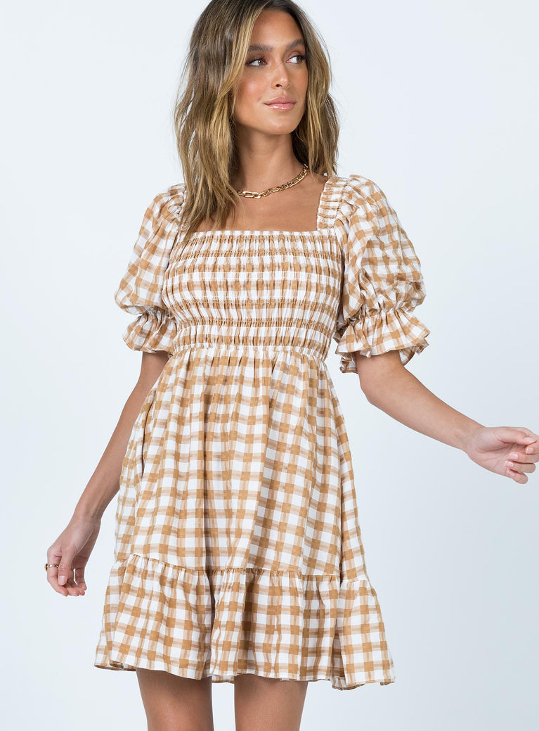 Adelio Mini Dress Brown